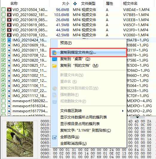 DiskGenius 預(yù)覽和恢復(fù)數(shù)據(jù)