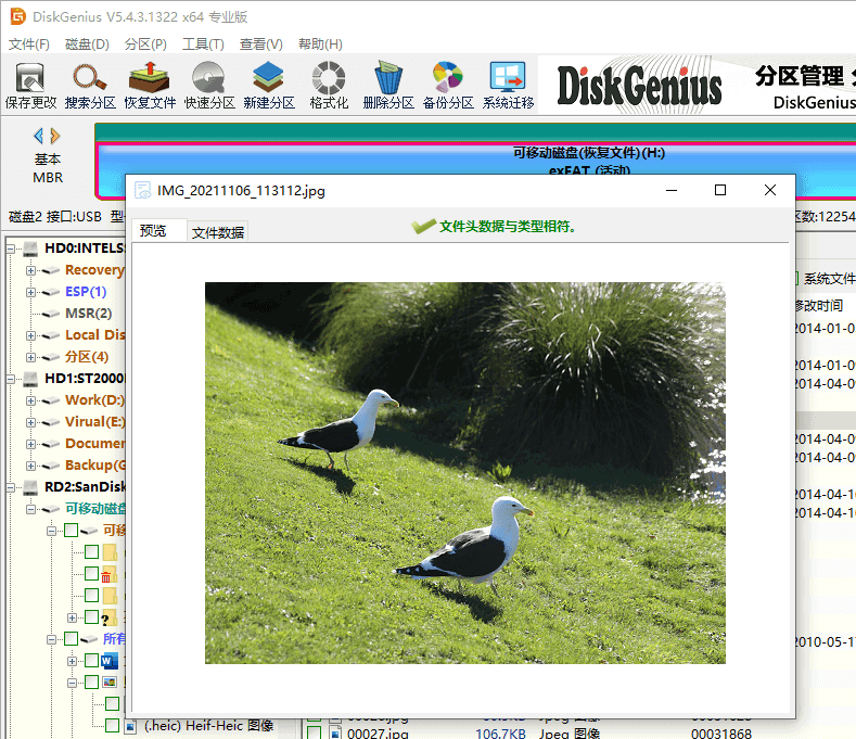 DiskGenius 預(yù)覽和恢復(fù)數(shù)據(jù)